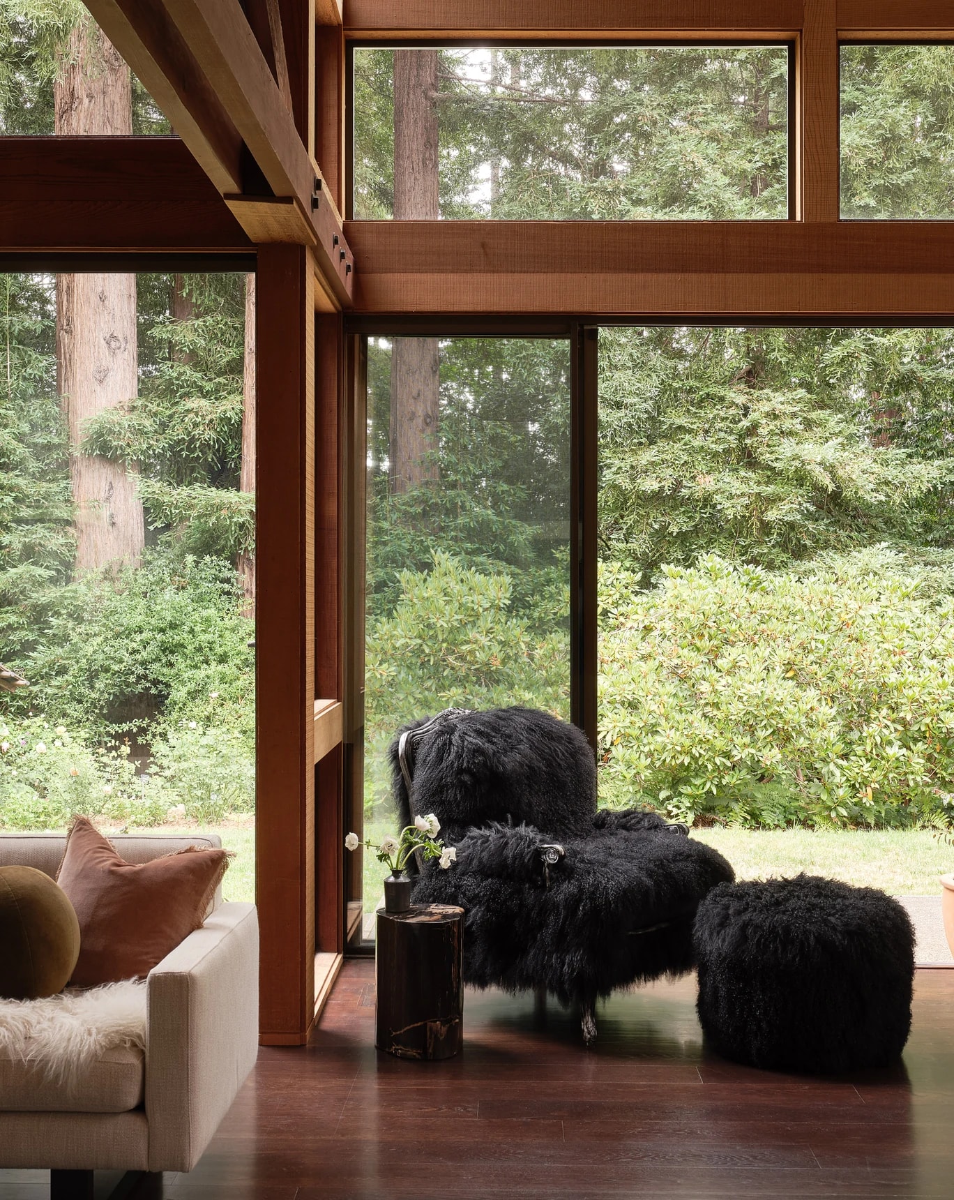 Tree House Edge - Behind The Story: