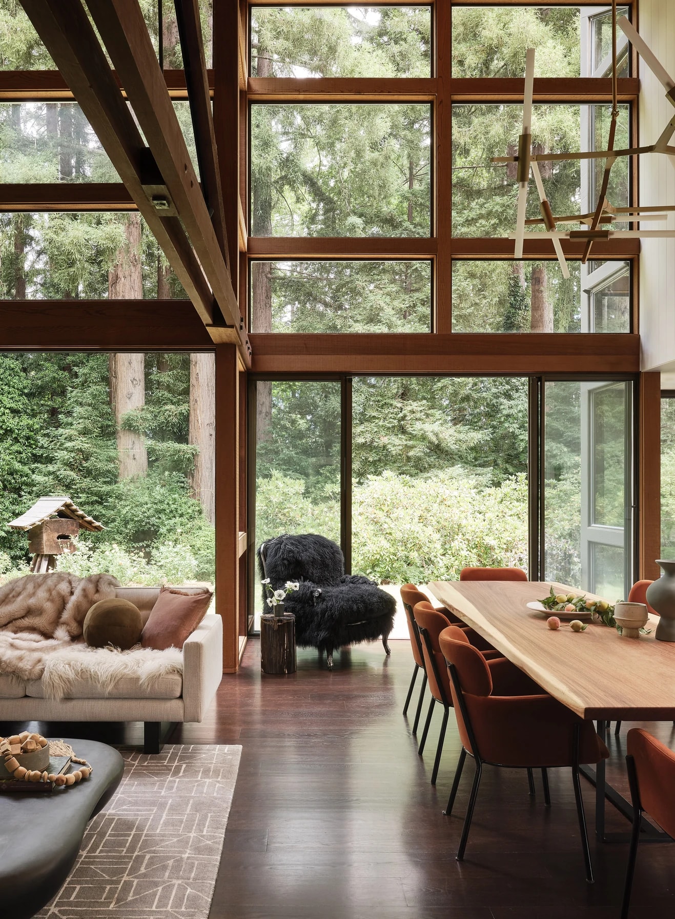Tree House Edge - Behind The Story: