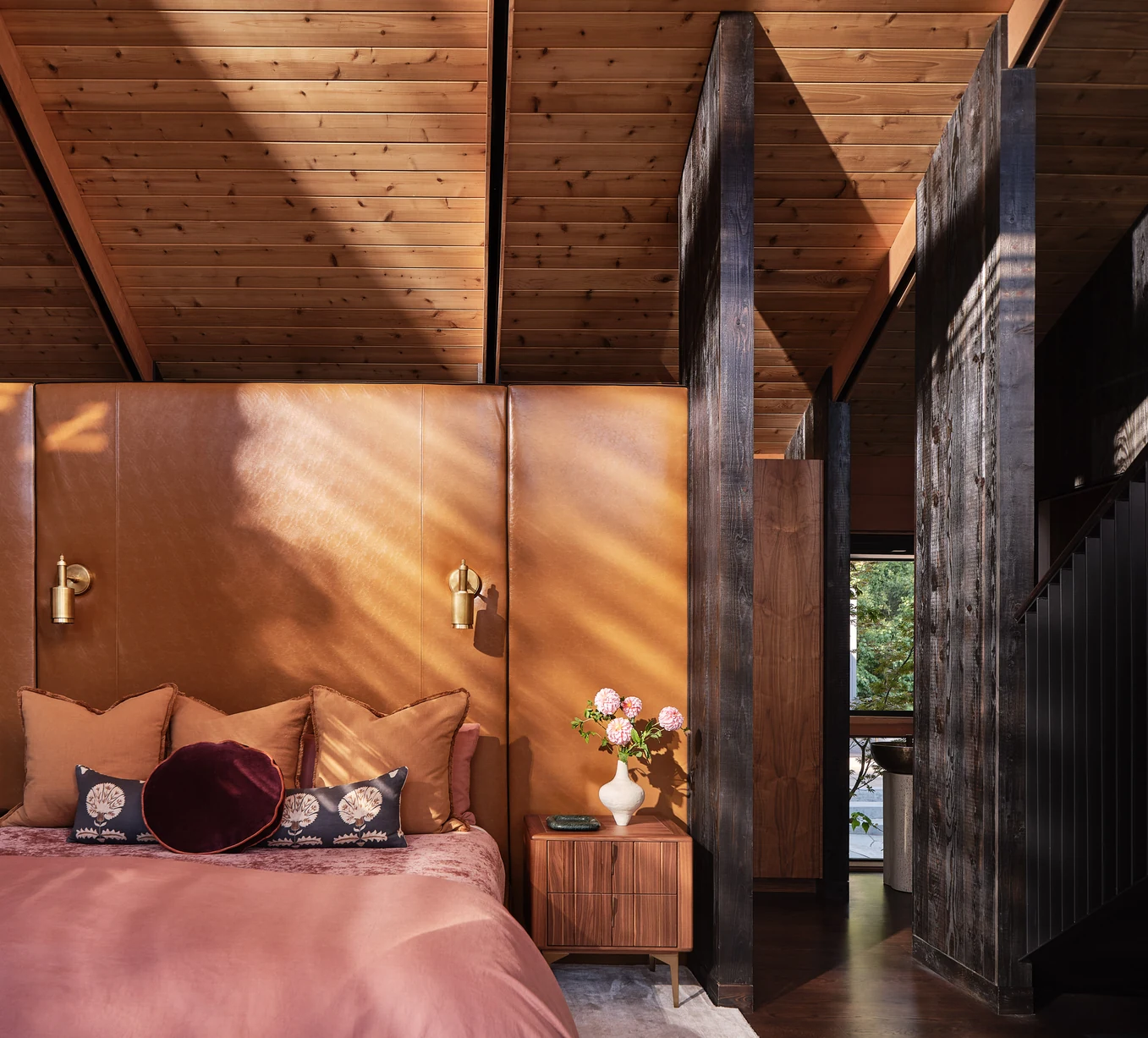 Tree House Edge - A Study in Contrast