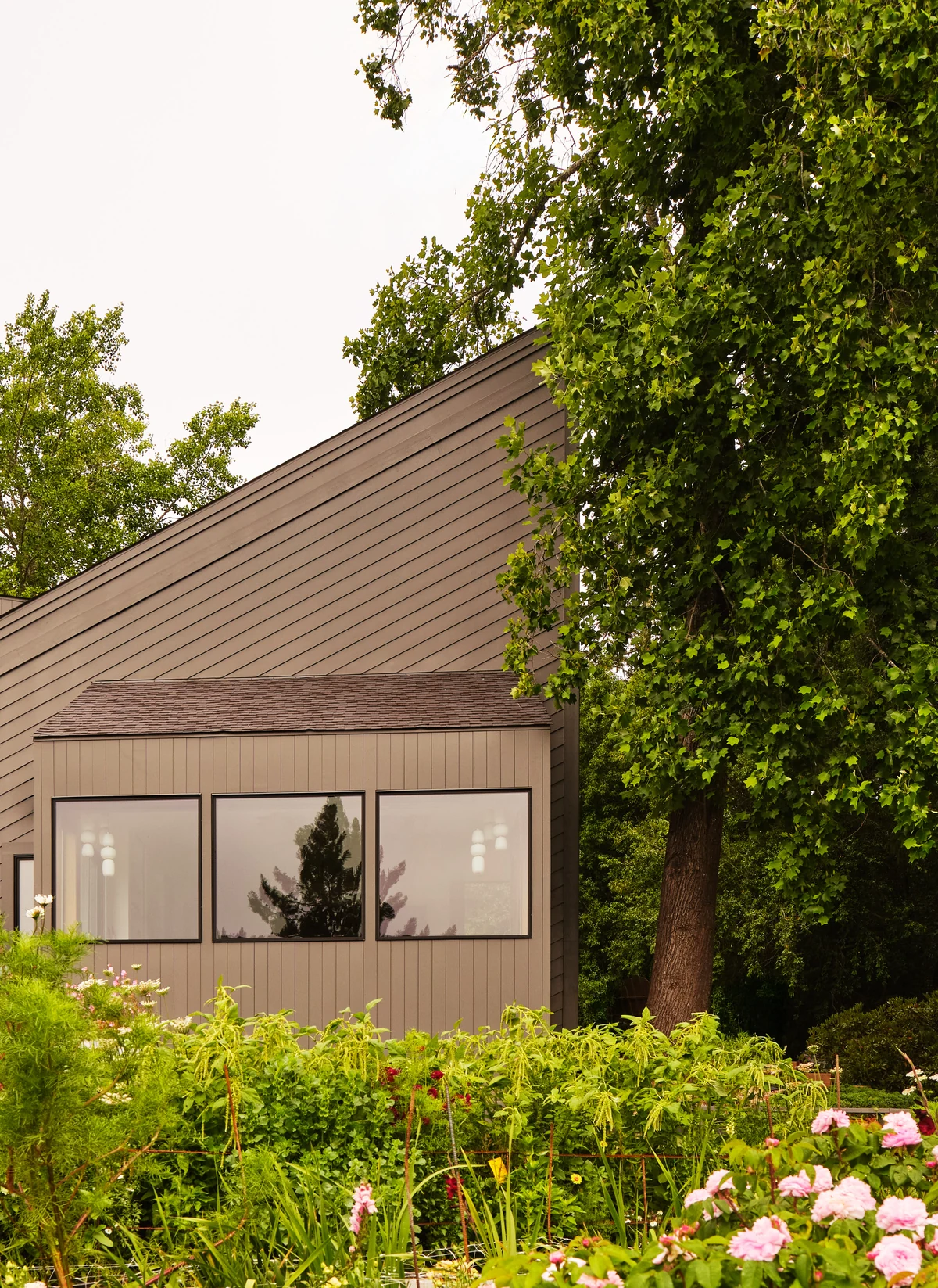 Tree House Edge - ROOM TO EXHALE.