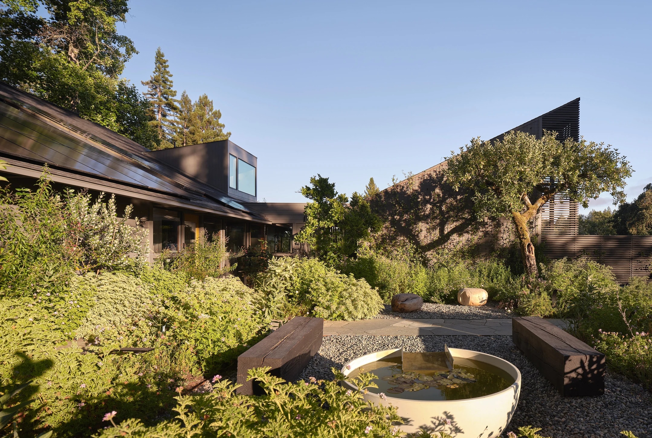 Tree House Edge - ROOM TO EXHALE.